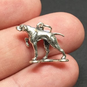 Può includere: Ciondolo in argento di un Bracco tedesco a pelo corto in piedi. Il ciondolo è dettagliato e ha un anello per attaccarlo a una collana o un braccialetto.