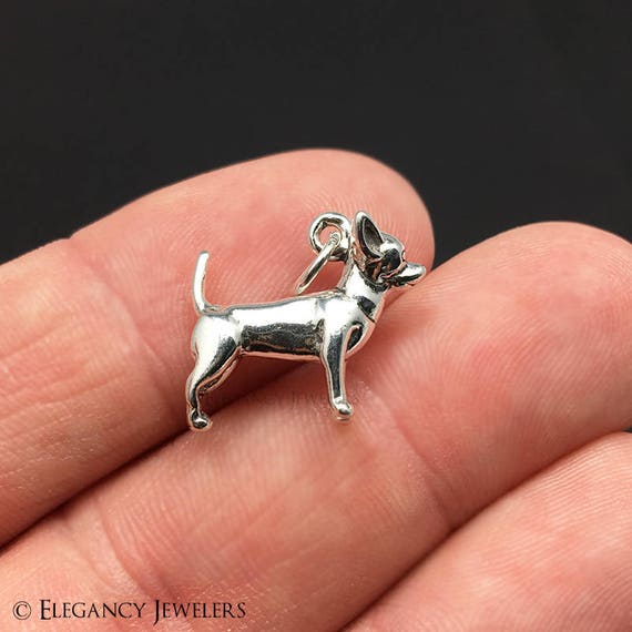 Plata Encanto De Perro Chiuahua