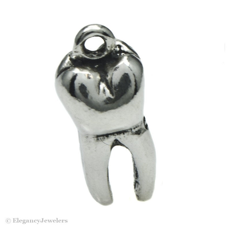Sterling Silver Dental Hygienist Charm