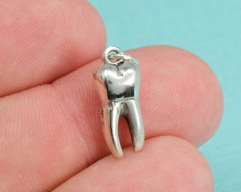 May include: A silver charm in the shape of a tooth. The charm is detailed and realistic, with a smooth, shiny finish.