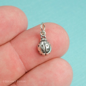 May include: A silver charm in the shape of a ladybug. The charm is small and detailed, with black spots on its wings.