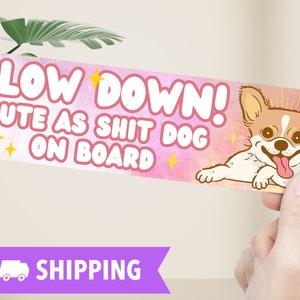 Bumpersticker chihuahua, vertragen hond aan boord grappige autosticker, cadeau huisdierliefhebber, cadeau hond moeder, decor voertuig huisdier, herinnering langzaam rijden