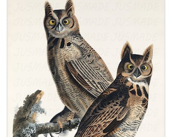 Birds of America: Gran búho cornudo 1827 Póster artístico con ilustración vintage -Sin marco- Impresión