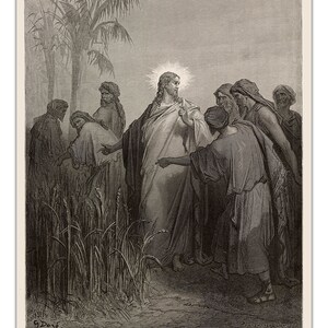Gustave Dore: JESUS & HIS DESCIPLIES in the corn field (1891) Vintage Illustration Bible Art -Unframed- Premium Print