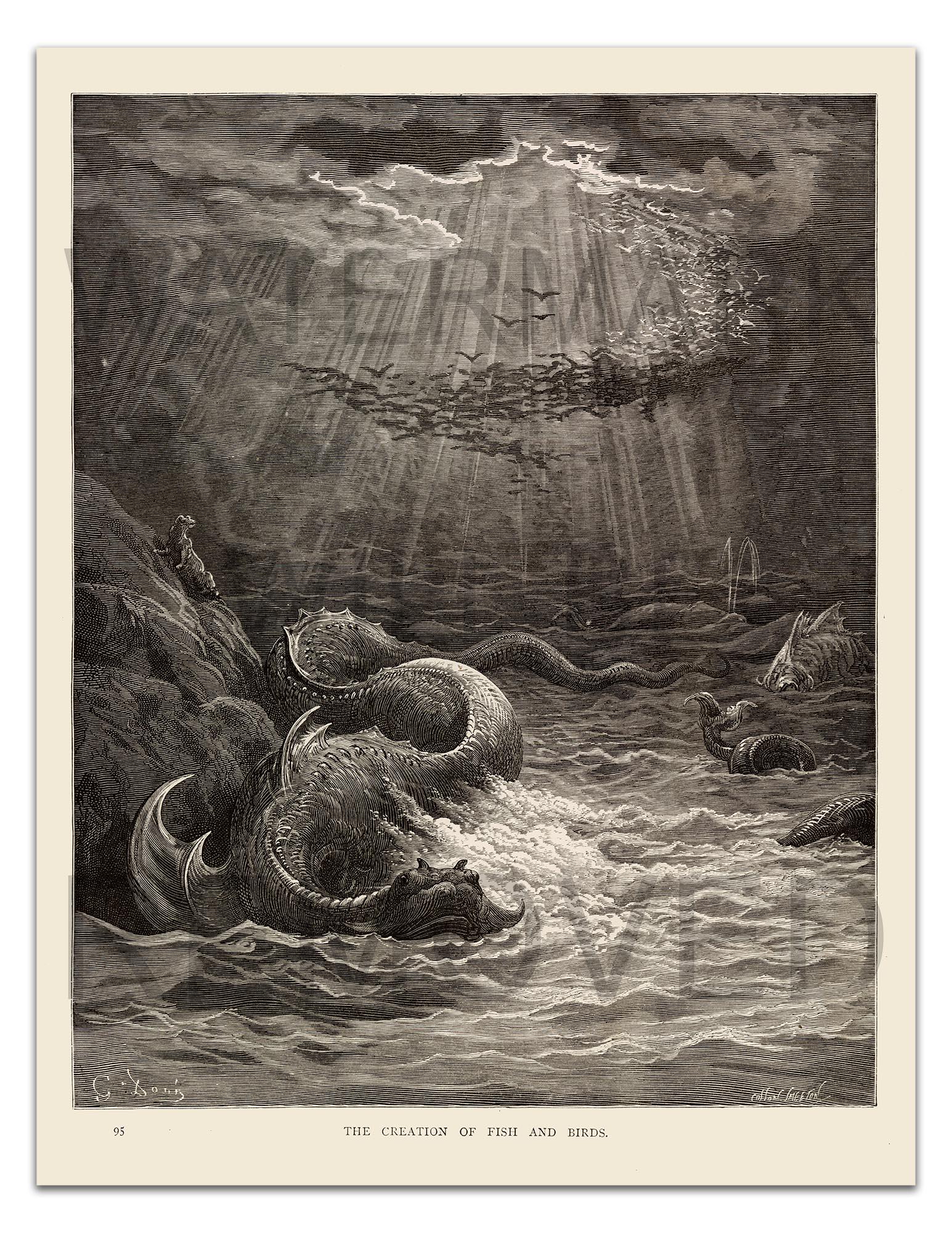 Gustave Dore: the CREATION of FISH & BIRDS (1891) Vintage Illustration ...