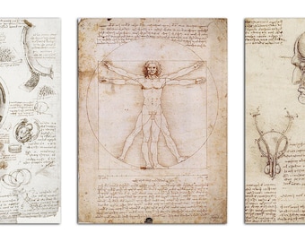 May include: Three black and white anatomical drawings by Leonardo da Vinci. The first drawing shows a fetus in the womb. The second drawing shows a man in a circle and square. The third drawing shows a human head and neck with the brain and other internal organs.
