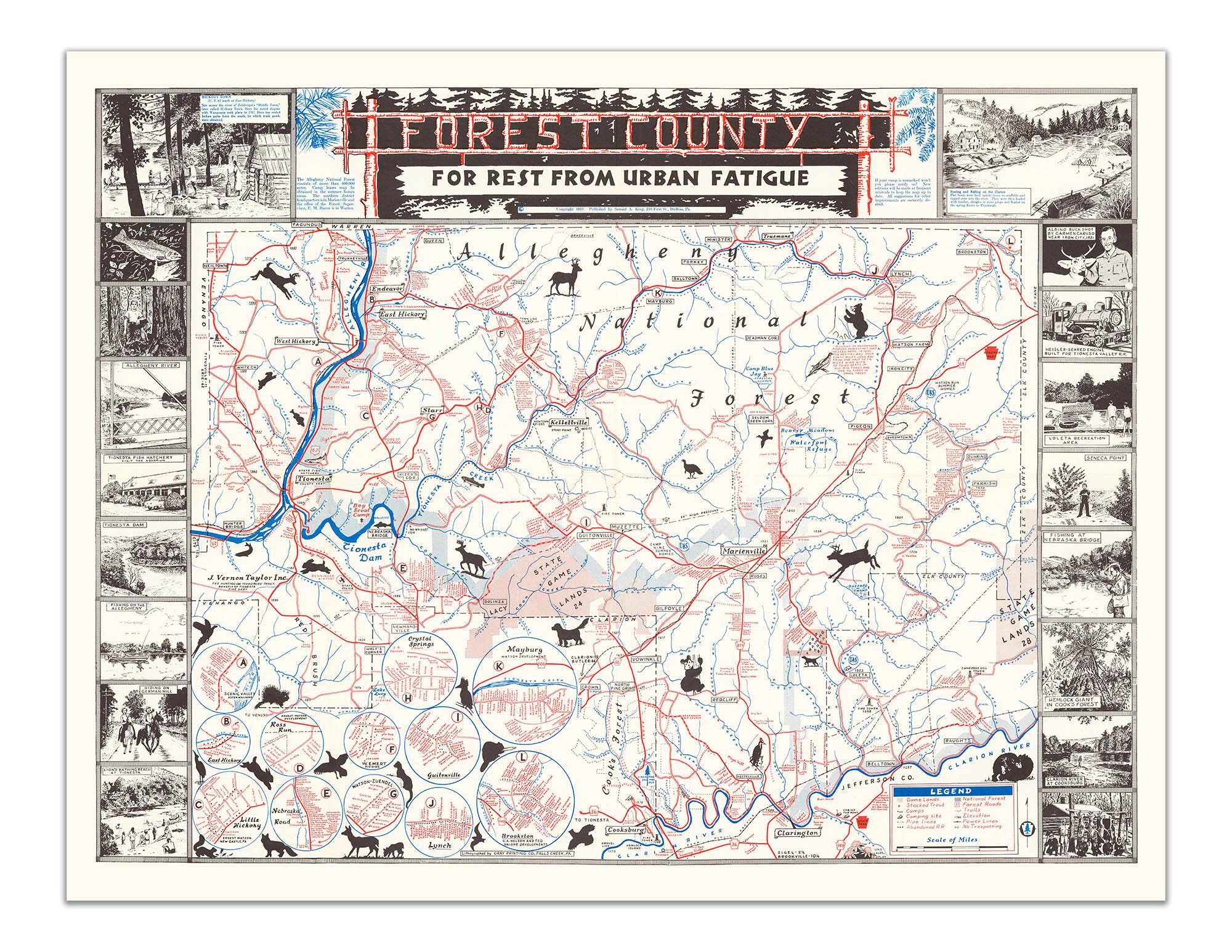Pôster vintage do mapa do condado de Forest - Reimpressão de arte recreativa da National Forest Wilderness