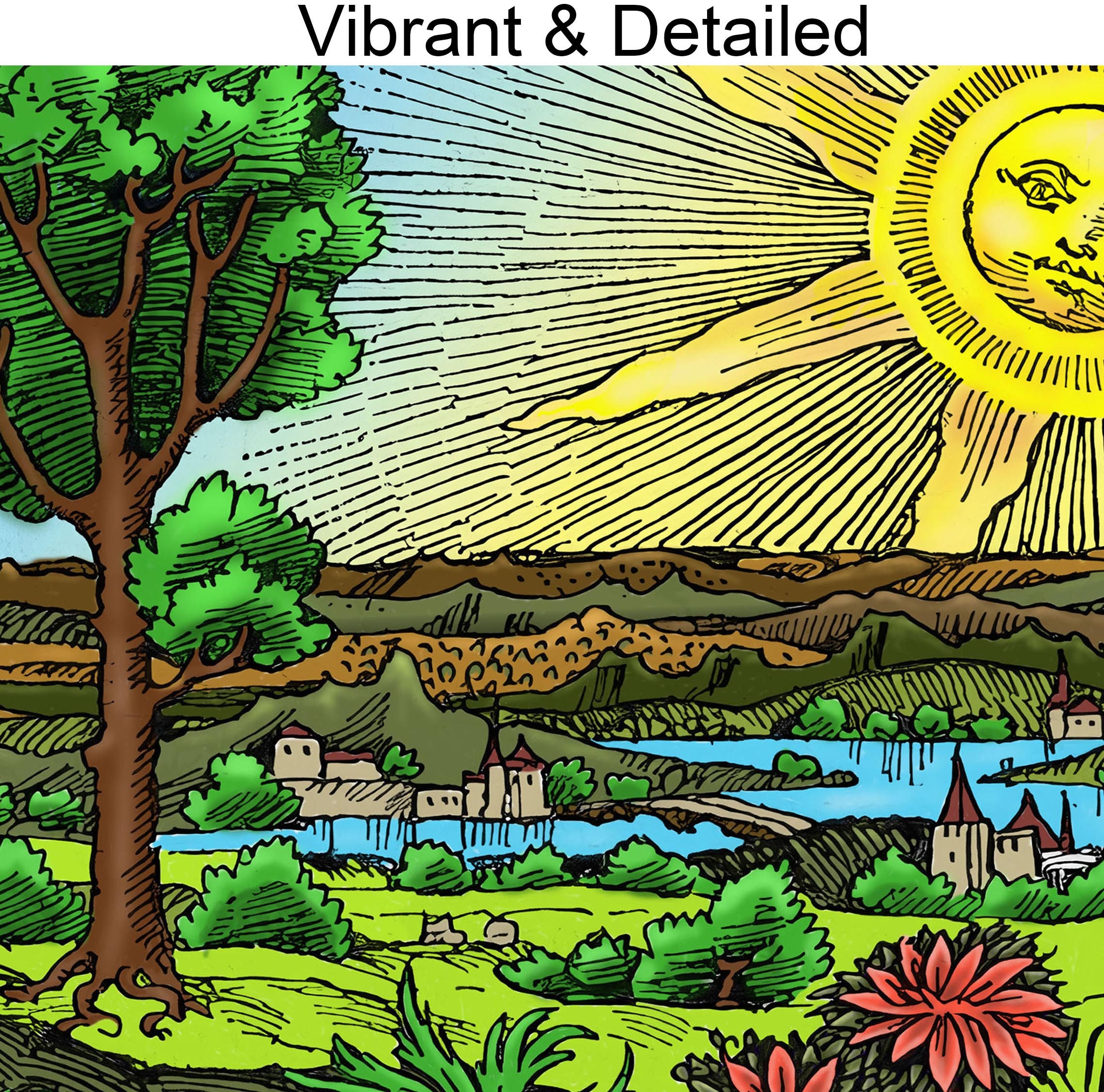 The Flammarion Engraving WHEELS WITHIN WHEELS 1888 Psychedelic
