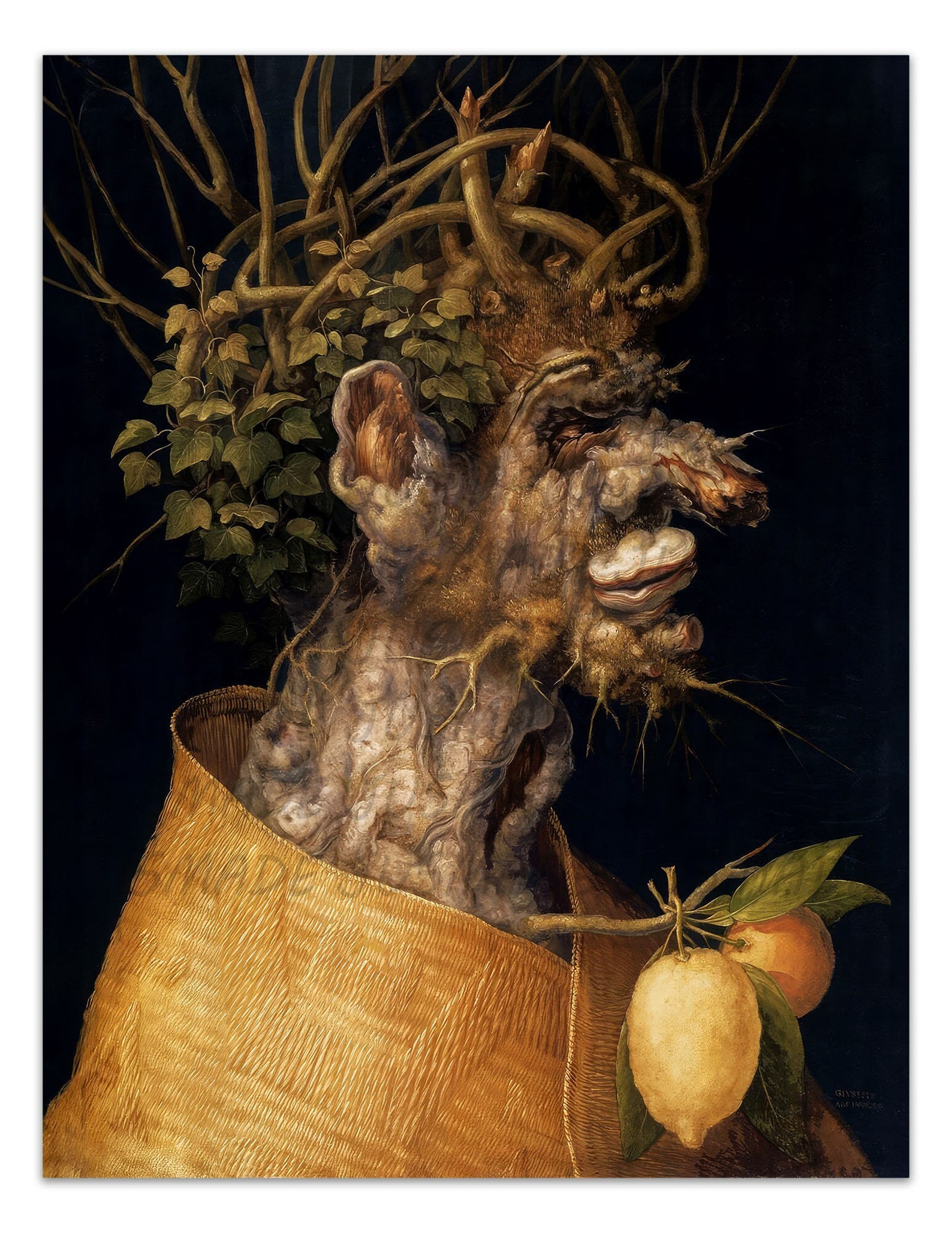 Giuseppe Arcimboldo THE WINTER (borderless) 1563 Vintage Painting ...