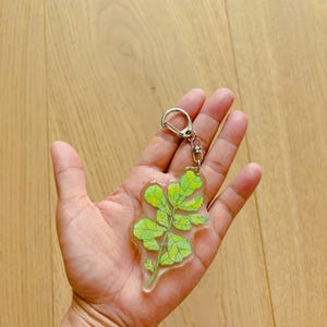 Puede incluir: Un llavero de acrílico transparente con un diseño de hoja verde y amarilla. El llavero tiene un cierre y una cadena de color plateado. El diseño de la hoja está detallado con contornos negros y un efecto de acuarela.