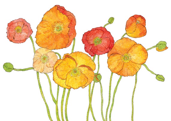 Iceland Poppy/ Poppies/ Watercolour/ Fineline Art/ Floral/ Illustration/  Watercolor Painting/ Wall Art/ Home Decor/ Wall Decor/ Art Print - Etsy