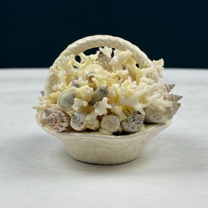 Peut inclure: Un panier en céramique crème rempli de coquillages et de coraux. Le panier a une anse et un bord festonné. Les coquillages sont de différentes tailles et couleurs, notamment beige, marron et blanc. Le corail est de couleur jaune clair.