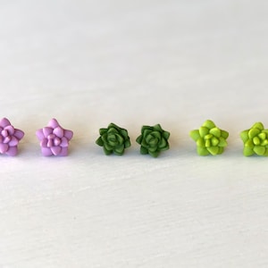 Miniature Succulent Earrings - Pick Your Own Color - Valentines Gift - Clay Earrings - Succulent Studs - Plant Earrings - Gift For Her