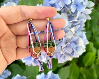 Omni Flag Miniature Macramé Plant Earrings - Pride Earrings - Omnisexual Earrings - Succulent Earrings -  Hanging Plant Earrings