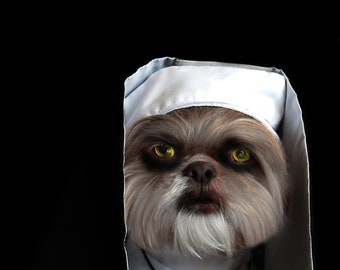 The Nun Dog Costume, Custom Order Request for DUCKY, Special order The Nun Costume for Ducky