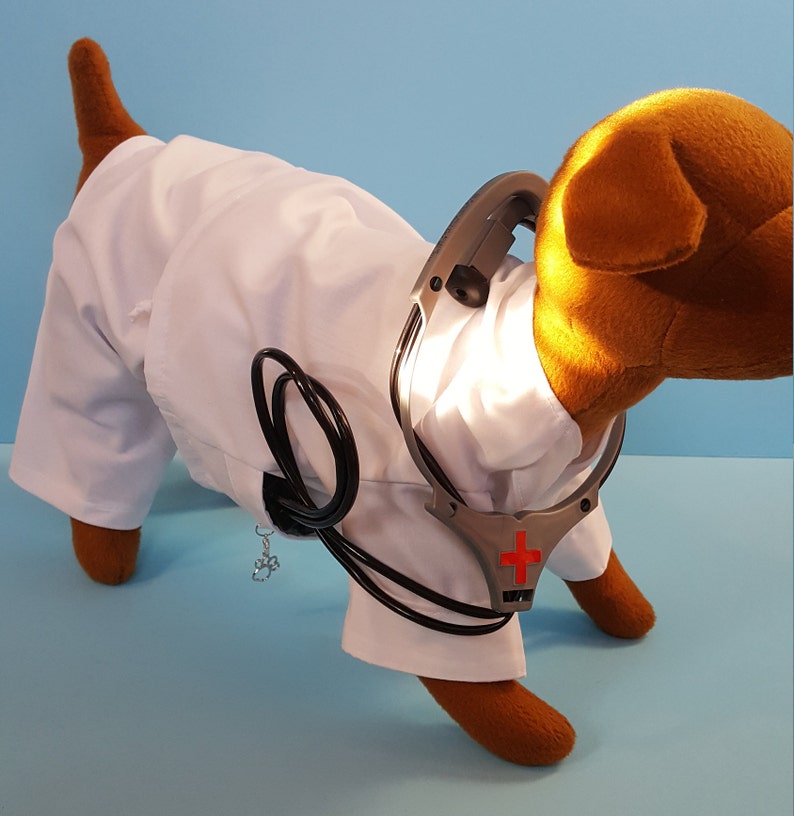 Infirmière Chien Fille Blanc Scrubs Costume, Chiot Fille Infirmière Blanc Scrubs Uniformes, Infirmière Pet Fille Blanc Scrubs Costumes image 7