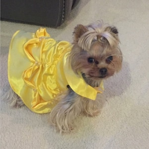 Dog Princess Yellow Gown Costume, Pet Princess Halloween Costume, Puppy Yellow Dress Costume