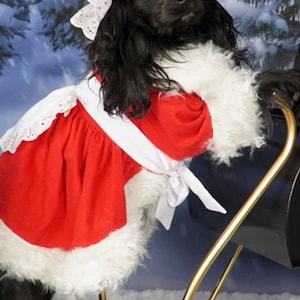 christmas dress for puppy Large Dog Costume, Xmas Santa Red Hooded Cape Cats and Dogs, Winter Dog Coat Pet Clothes Custom Size, Christmas Gift for Pets Whether youre going to a pawty or for a stroll Pet Apparel Puppy Xmas Outfits
