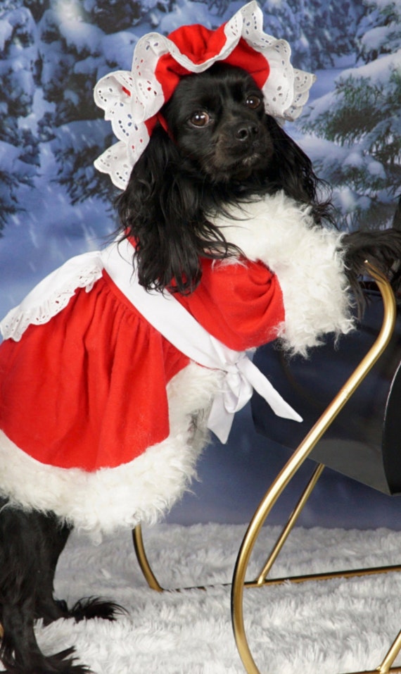 xmas dresses for dogs