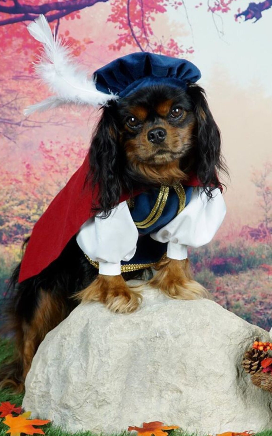 Costume De Roi Pour Chien - Cape Rouge Et Couronne Dorée - Taille Moyenne Et Grande - Idéal Pour Halloween, Noël, Fêtes