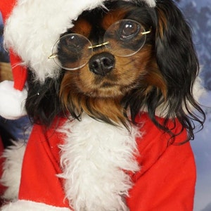 Santa Claus Dog Outfit, Santa Pet Set, Christmas Dog Costume, Pet Chistmas Outfit for Photo, Pet Santa Claus Christmas Costume