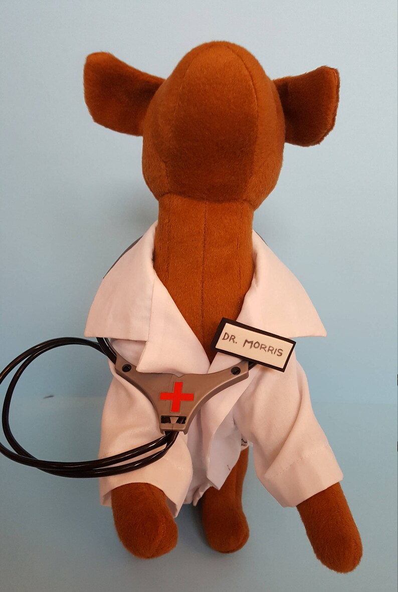 Dog Doctor Lab Coat Costume Doctor Lab Coat Dog Costume Pet Etsy