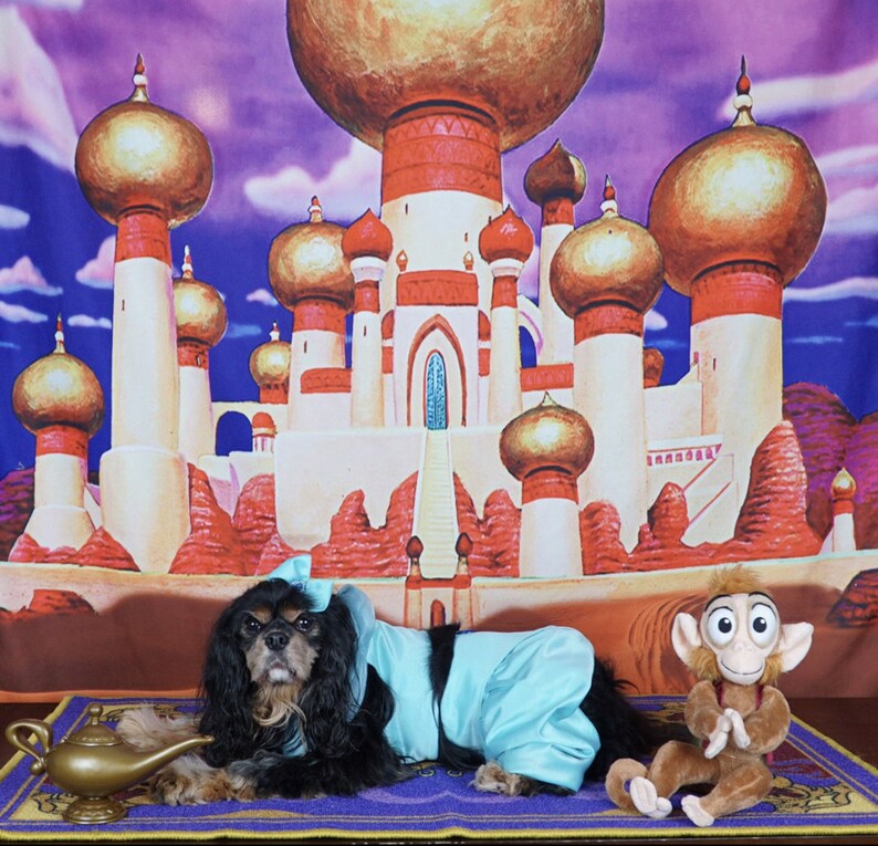 Princess Jasmine Dog Costume Dog Princess Jasmine Costume Etsy Australia