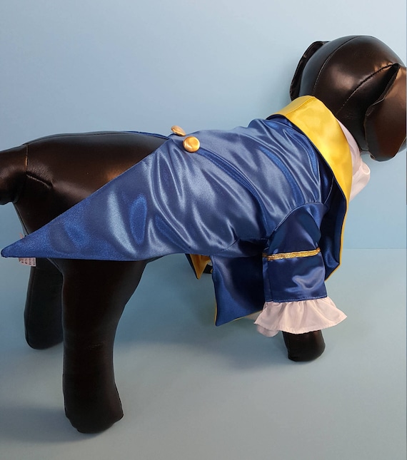 Moon clearance dog costume