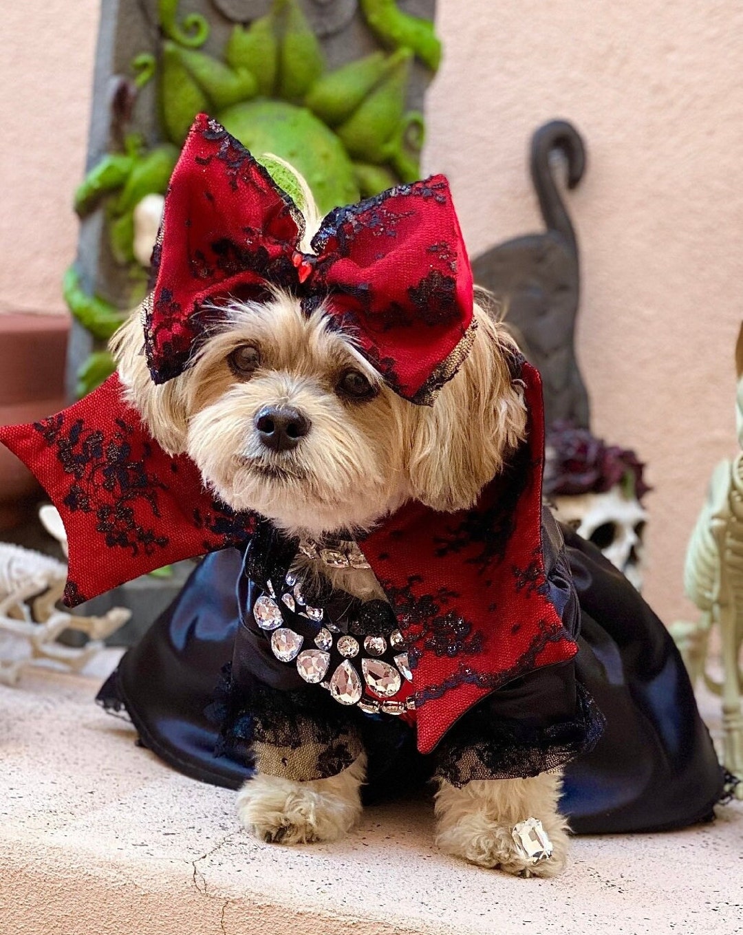 犬の闇のプリンセスコスチューム、闇のプリンセスの犬のコスチューム、子犬の闇のプリンセスのコスチューム、闇のプリンセスのペットコスチューム - Etsy  日本, image size:1080x1359