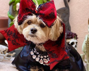 Dog Princess of Darkness Costume, Princess of Darkness Dog Costume, Puppy Princess of Darkness  Costume, Princess of Darkness Pet Costume