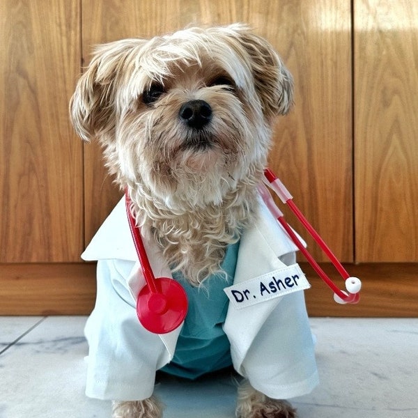 Dog Doctor Lab Coat Costume, Doctor Lab Coat Dog Costume, Pet Doctor Lab Coat Costume, Doctor Lab Coat Pet Costume, Puppy Lab Coat Costume