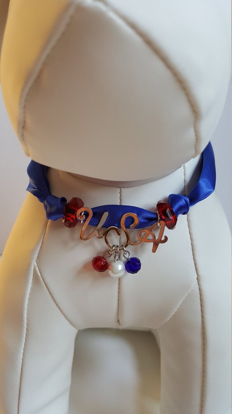 Dog Patriotic Necklace, Dog 4th July Necklace, Pet Patriotic Necklace, Pet 4th July Necklace, Dog Patiotic Jewelry, Pet Patriotic Jewelry image 2