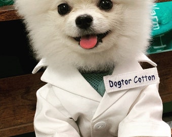 Dog lab coat costume hotsell