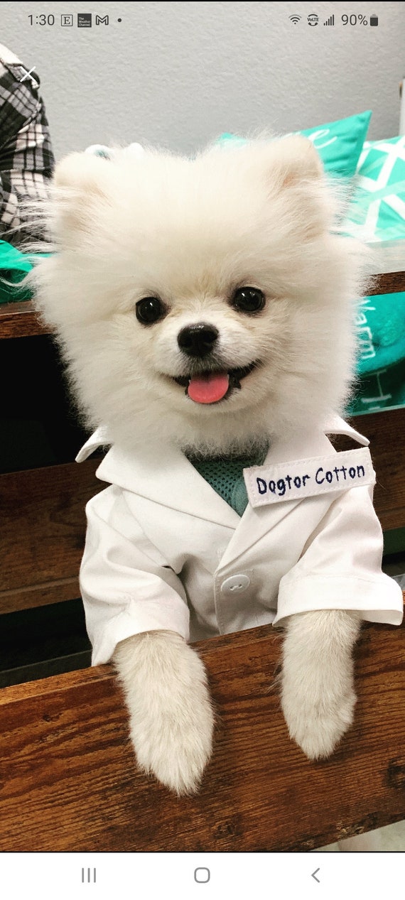 Doctor Coat Costume Doctor Lab Coat Dog Costume Pet - Etsy