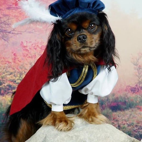 Prince Ferdinand Dog Costume, Snow White Prince Charming Costume, Dog Costume Prince Charming, Pet Prince Charming Costume, Prince Ferdinand