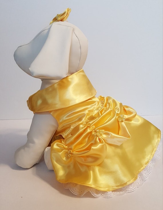 Princess belle 2025 dog costume