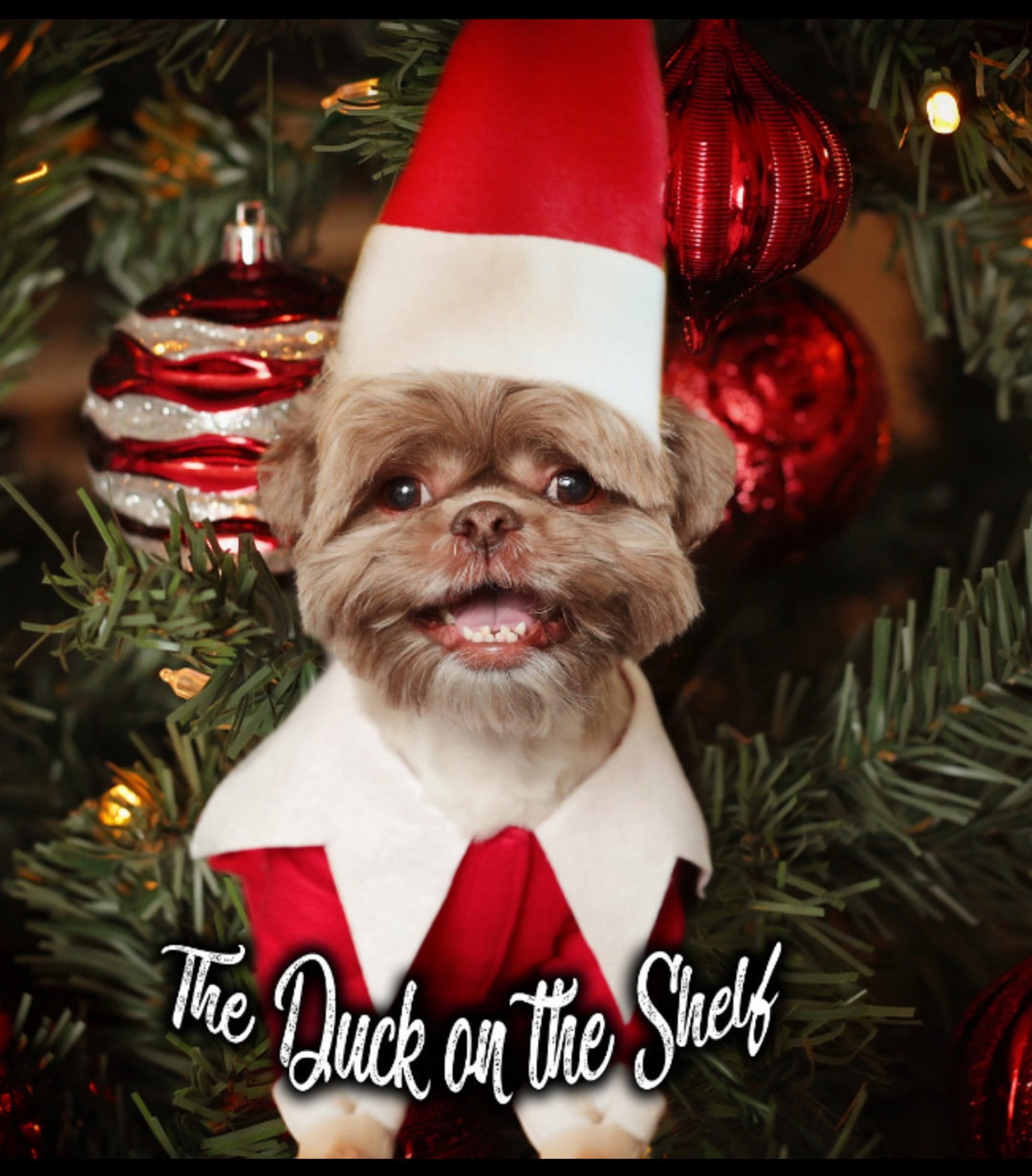 elf on a shelf dog costume