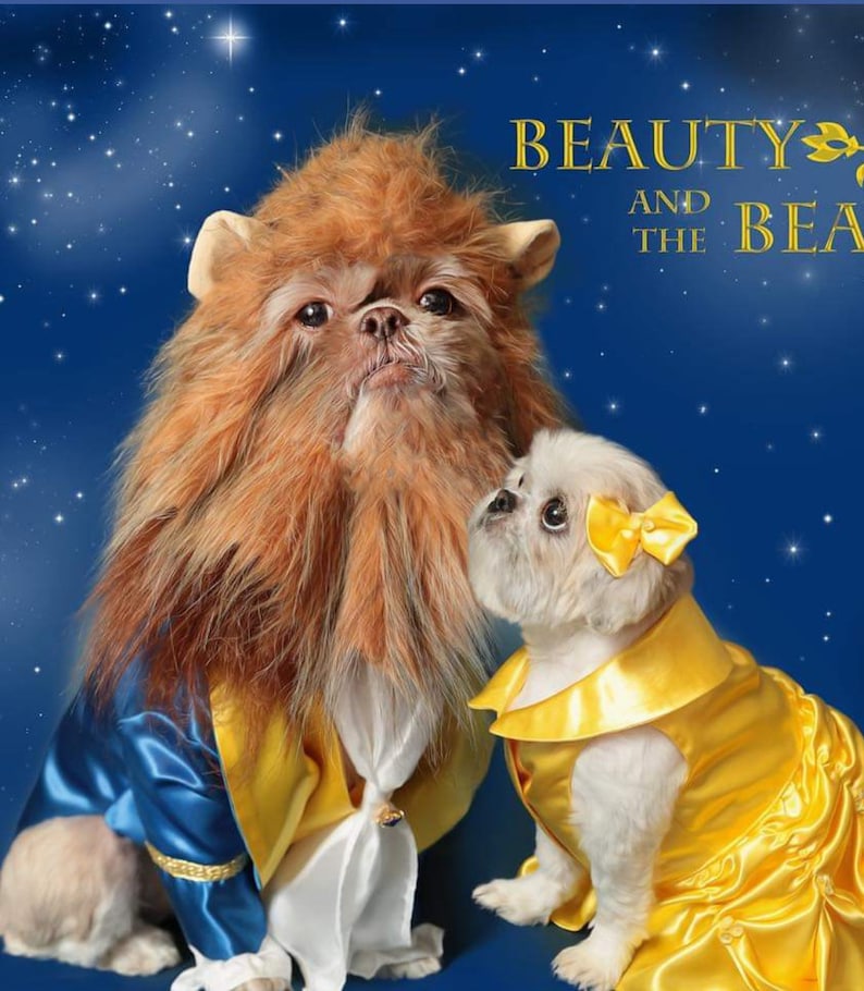 Belle Dog Costume Dog Beauty and the Beast Halloween Costume Etsy