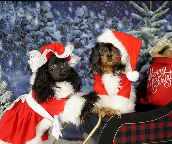 xmas dresses for dogs