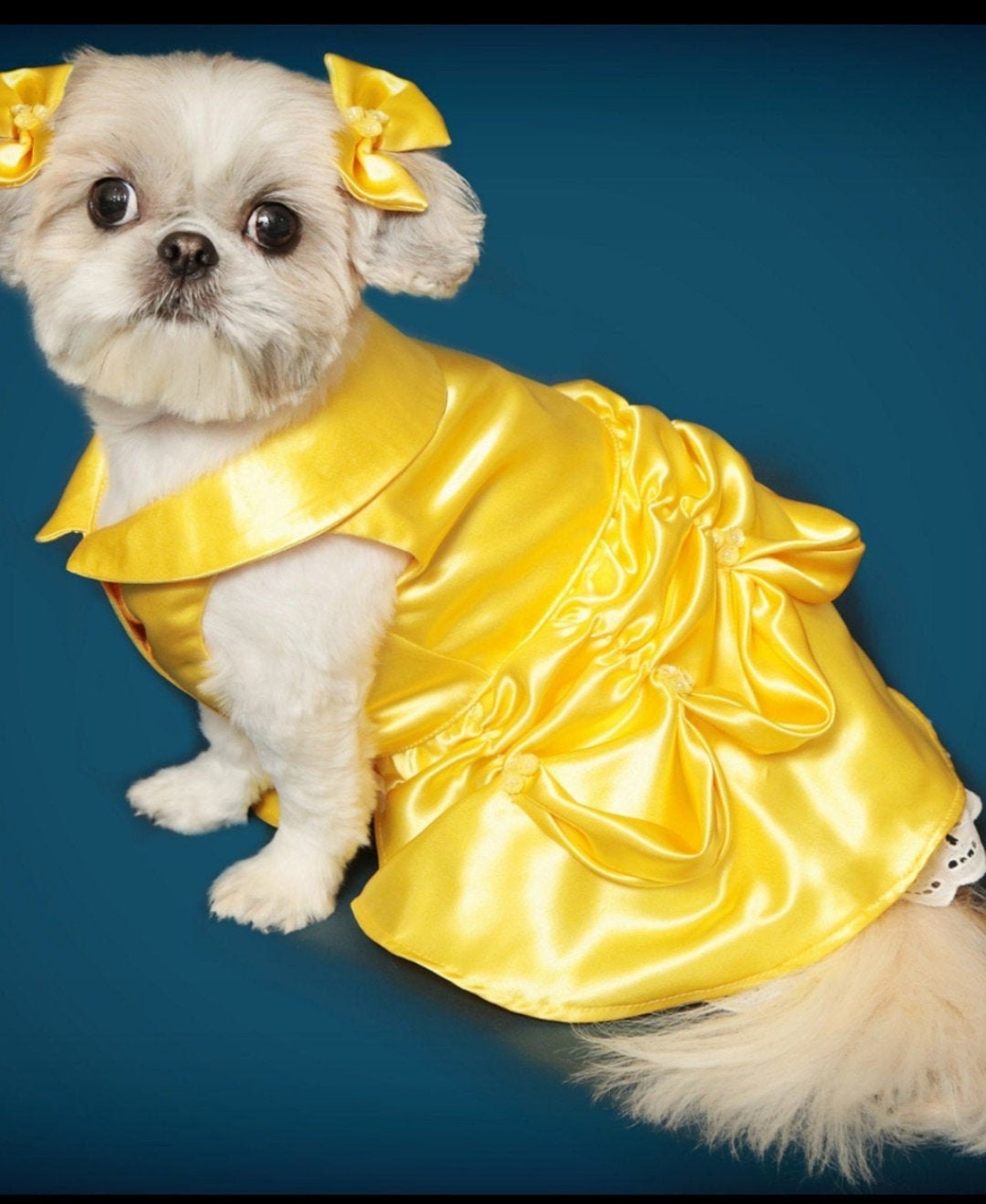 Belle Dog Costume Dog Beauty and the Beast Halloween Costume Etsy