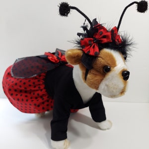 Lady Bug Dog Costume, Lady Bug Halloween Outfit for Dogs, Birthday Girl Dog Lady Bug , Costume, Puppy Red/Black Polka Dot Costume