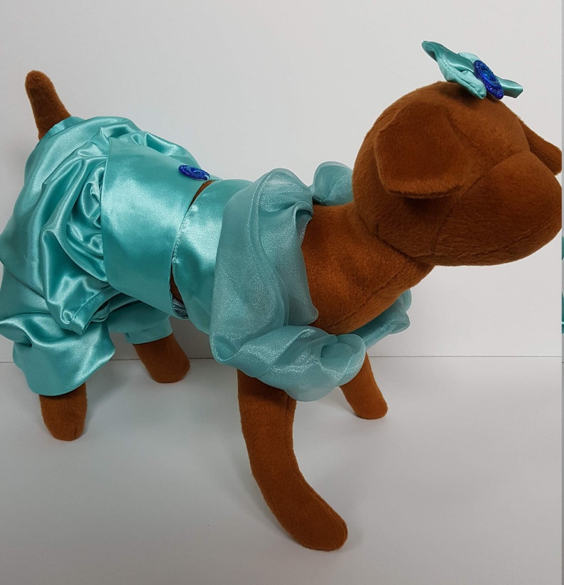 Princess Jasmine Dog Costume Dog Princess Jasmine Costume Etsy