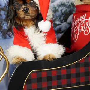 Santa Claus Dog Outfit, Santa Pet Set, Christmas Dog Costume, Pet Chistmas Outfit for Photo, Pet Santa Claus Christmas Costume image 5