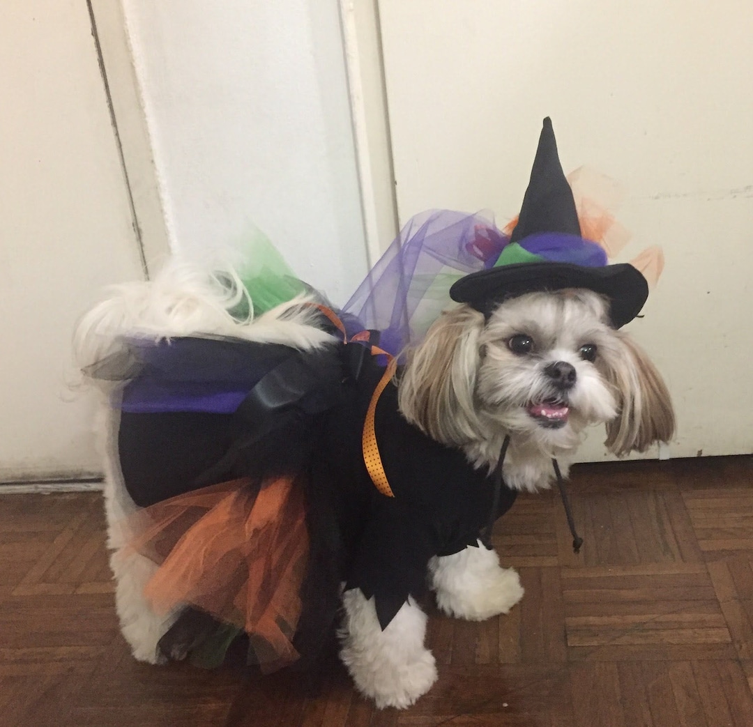 Disfraz de bruja de lujo para perro, disfraz de bruja para perro