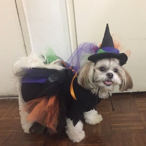 Disfraz de perro de lujo de bruja, disfraz de bruja para perros, disfraz de Halloween de bruja para cachorros, disfraz de bruja para mascotas, disfraz de Halloween para mascotas de bruja