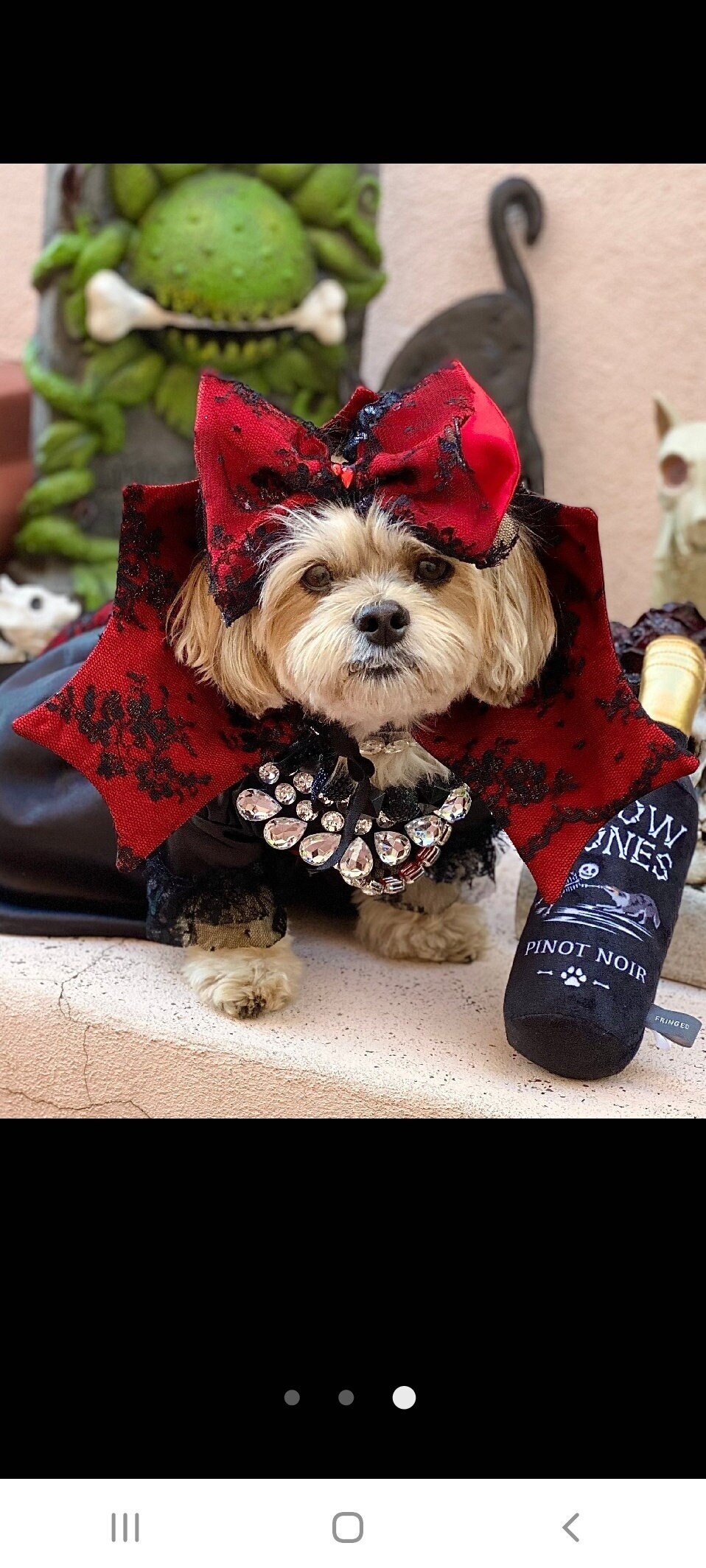 Corpse Bride เจ้าสาวศพสวย: ประสบการณ์ใหม่บน Netflix, image size:958x2128