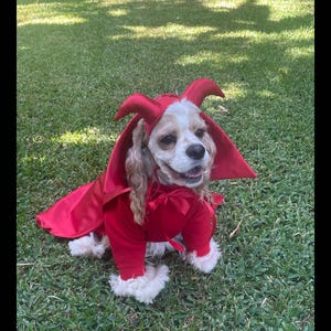 Devil Dog Costume, Devil Halloween Dog Costume, Devil Puppy Costume. Pet Devil Halloween Costume, Pet Devil Halloween Costume