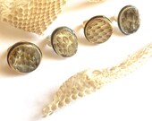 Real Snake Skin Shed in Resin Statement Ring, Cruelty Free, Handmade One of a Kind Adjustable Ring, NM14