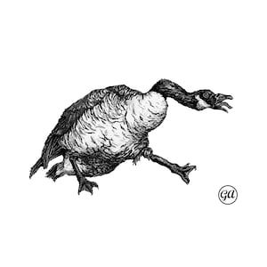 Sticker- The Canadian Goose- Whimsical Laptop Decor, Nature Lover Gifts, Frog Art, Cute Frog Accessories, Eco-Friendly Stickers
