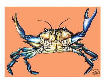 The Blue Crab - Giclée Print of Original Art - Beach Decor, Nautical Marine Wall Art, Cute Animal Gift, Wildlife Prints, Fisherman Present